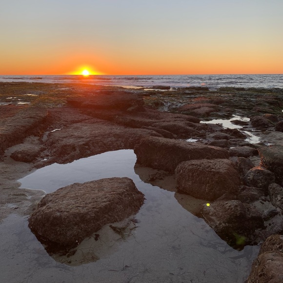 Meet your Posher, Cali - Picture 1 of 1